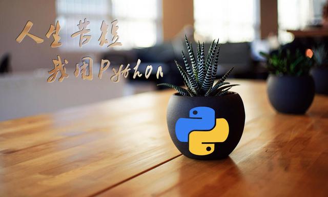 python是什么？python能干什么？一篇文章让你了解python的本质