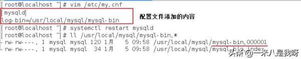 怎么对MySQL数据库进行备份与恢复