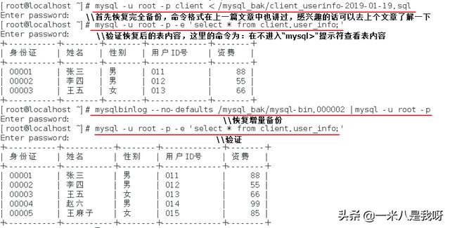 MySQL备份案例