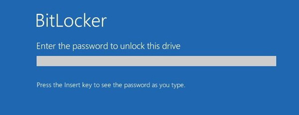 Bitlocker