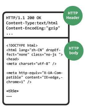 你知道HTML、CSS、JS、Services、PHP、ASP.NET 是什么来头么?