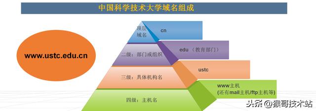 一文看懂：网址，URL，域名，IP地址，DNS，域名解析