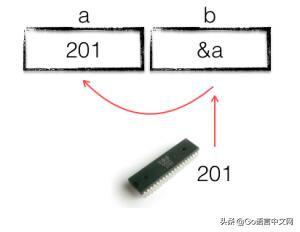 800 字彻底理解 Go 指针