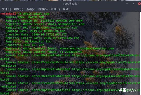 黑客渗透前奏，信息收集之域名采集，干货！！