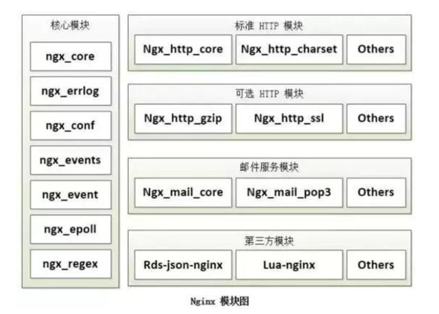 从 Nginx 核心架构设计，揭秘其为何能支持高并发？