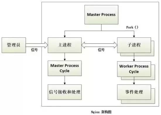 从 Nginx 核心架构设计，揭秘其为何能支持高并发？