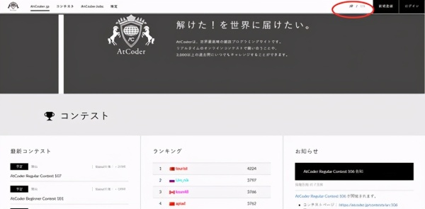 有程序员专门的刷题网站吗?